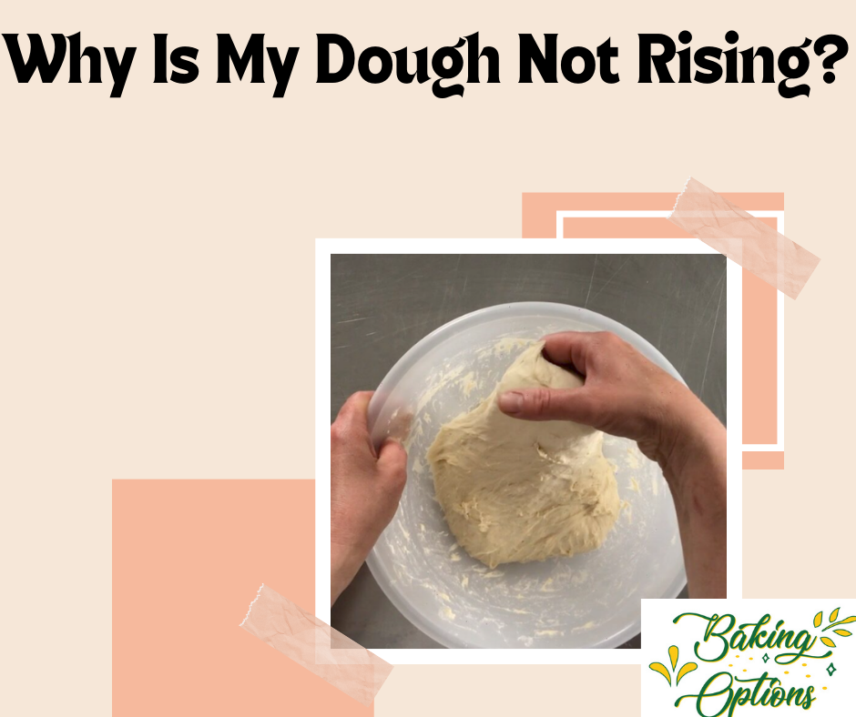 Why Is My Dough Not Rising